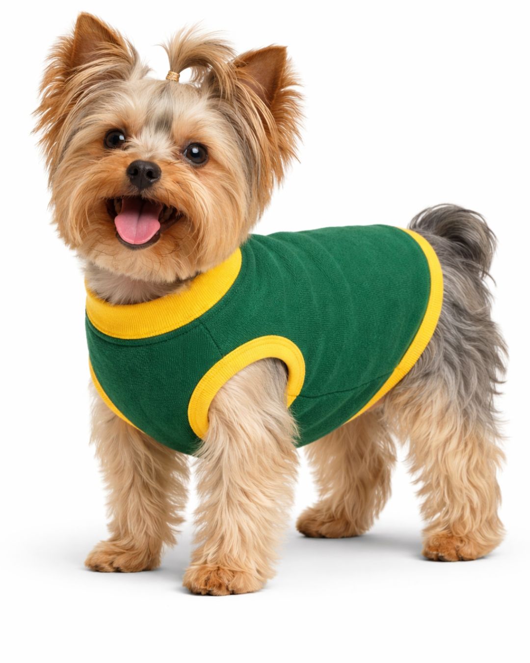 SA fleece dog supporters jersey