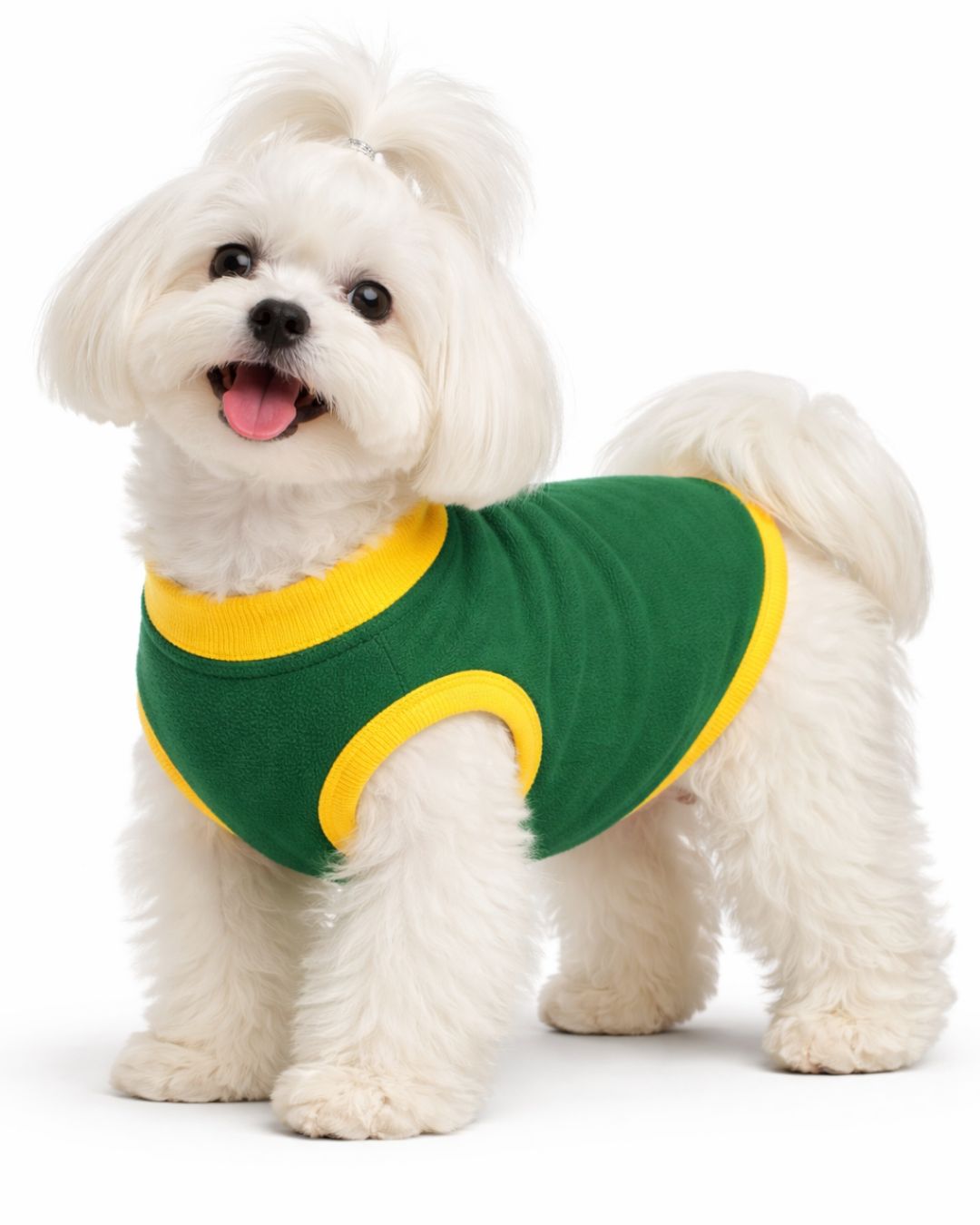 SA fleece dog supporters jersey