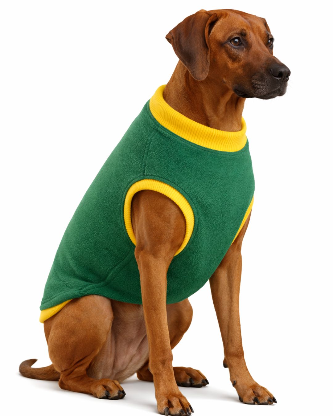 SA fleece dog supporters jersey