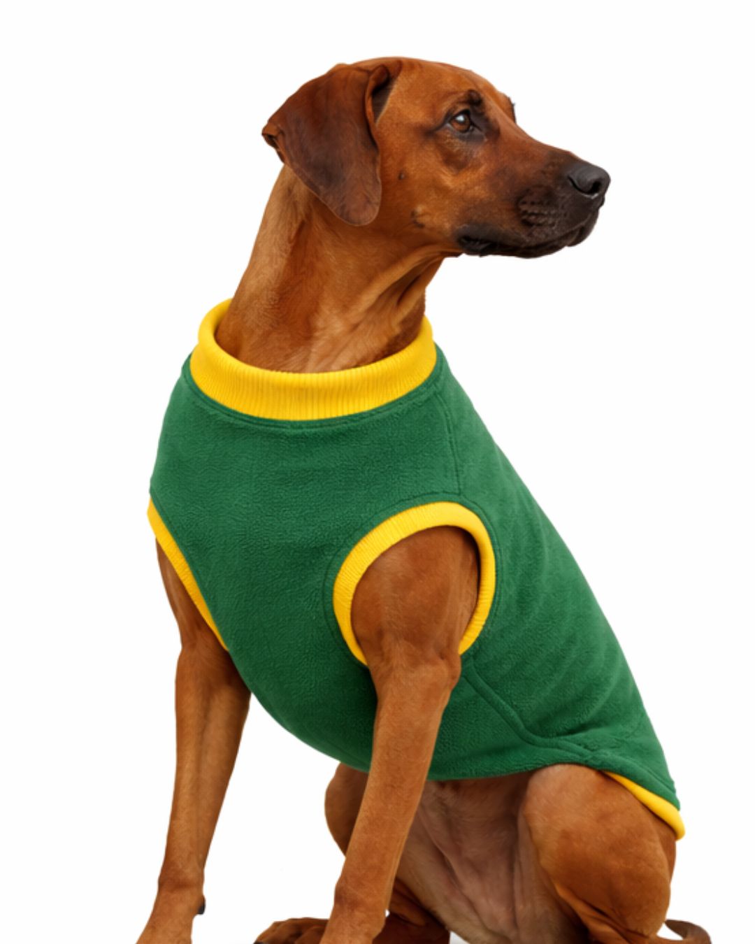 SA fleece dog supporters jersey
